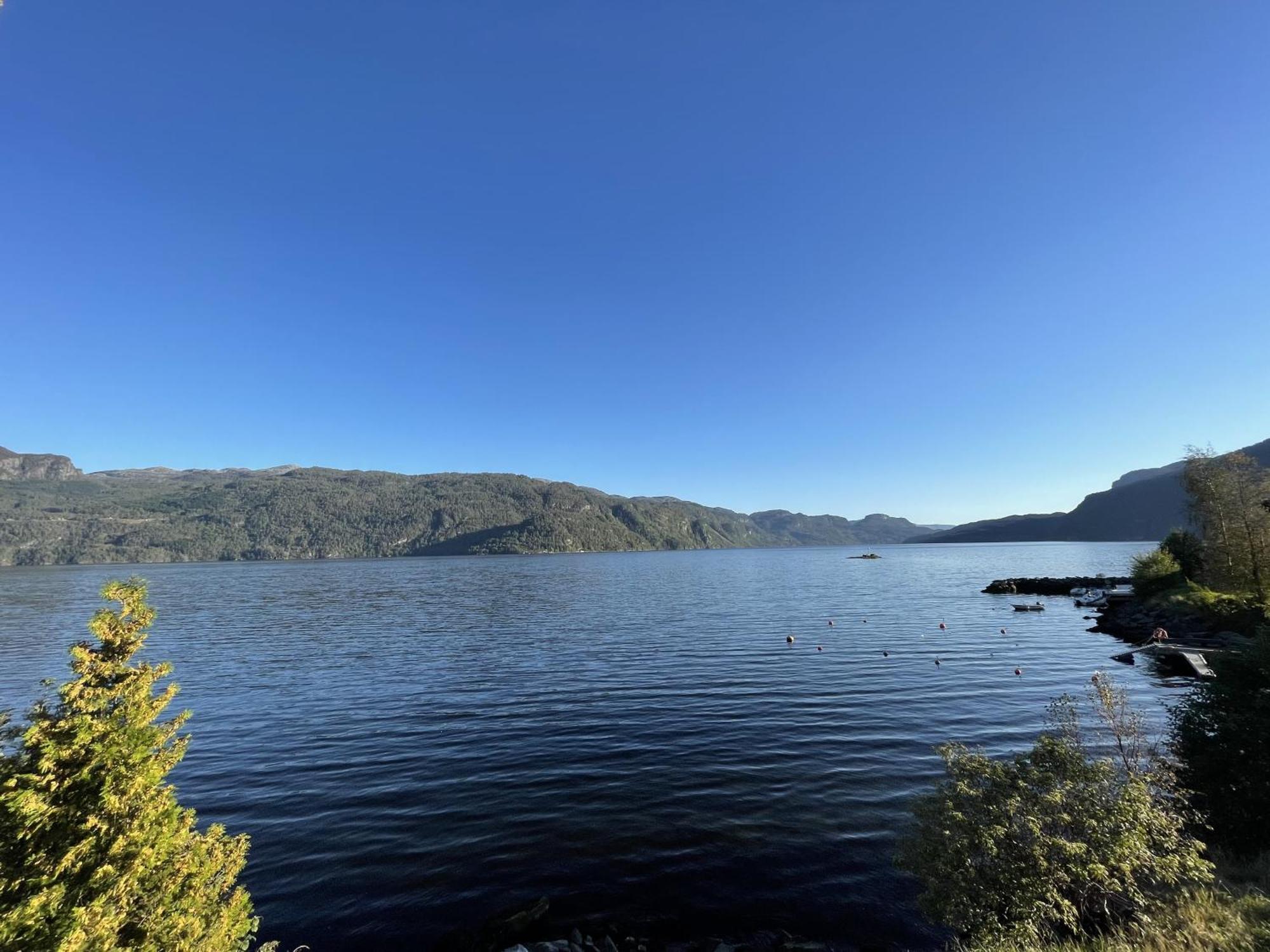 Sauda Fjord Camping Saudasjøen Екстериор снимка
